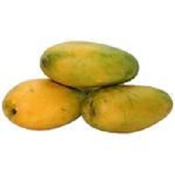 Bisarga-Mango – Neelam(1kg)