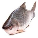 Bisarga: Online Supermarket In India | Bengali Food Delivery In Kolkata